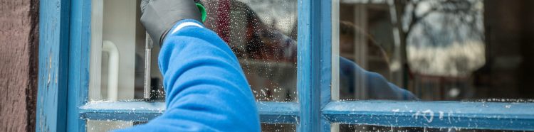 mrganso-spring-cleaning-2151818